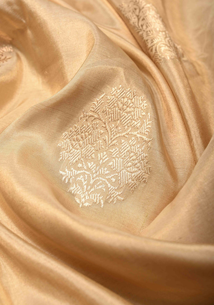 Cream Banarasi Katan Tissue Silk Saree with Zari Buttas and Contrast Wide Floral Kadhiyal Border | SILK MARK CERTIFIED