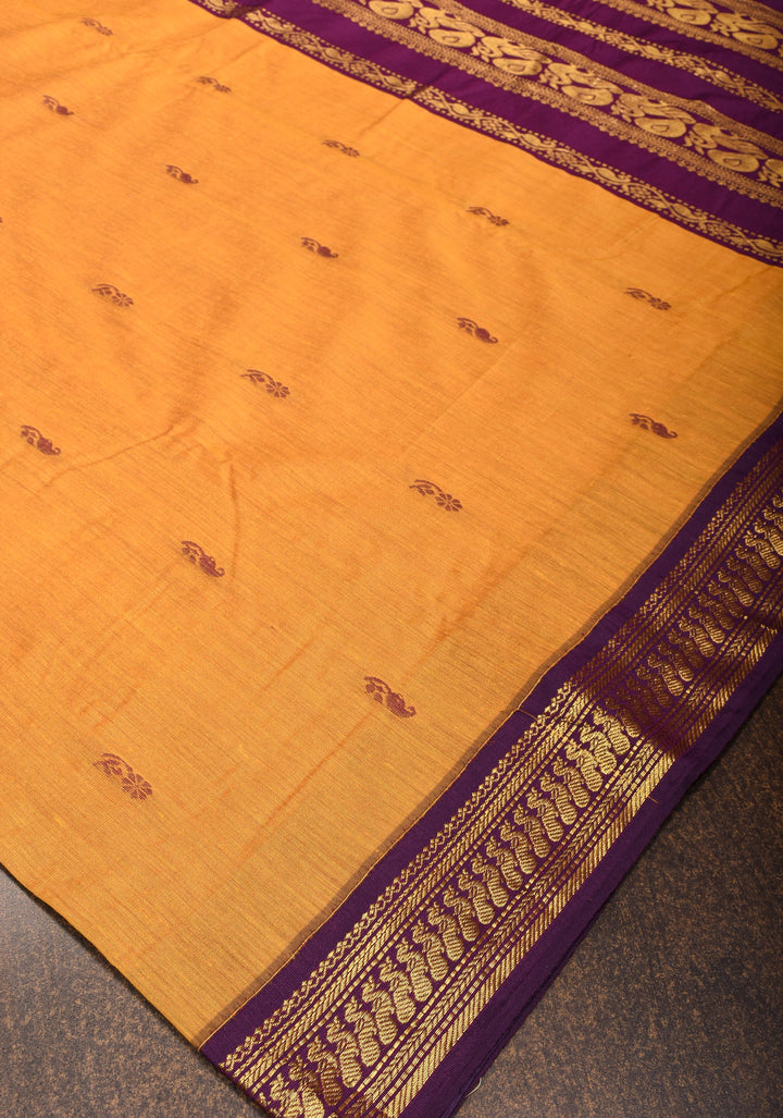 Ochre Cotton Silk Saree with Zari borders and Purple Contrast