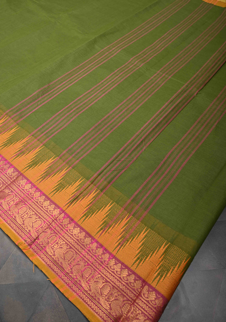 Oilve green Kanchi Cotton Saree with temple border , No Blouse piece