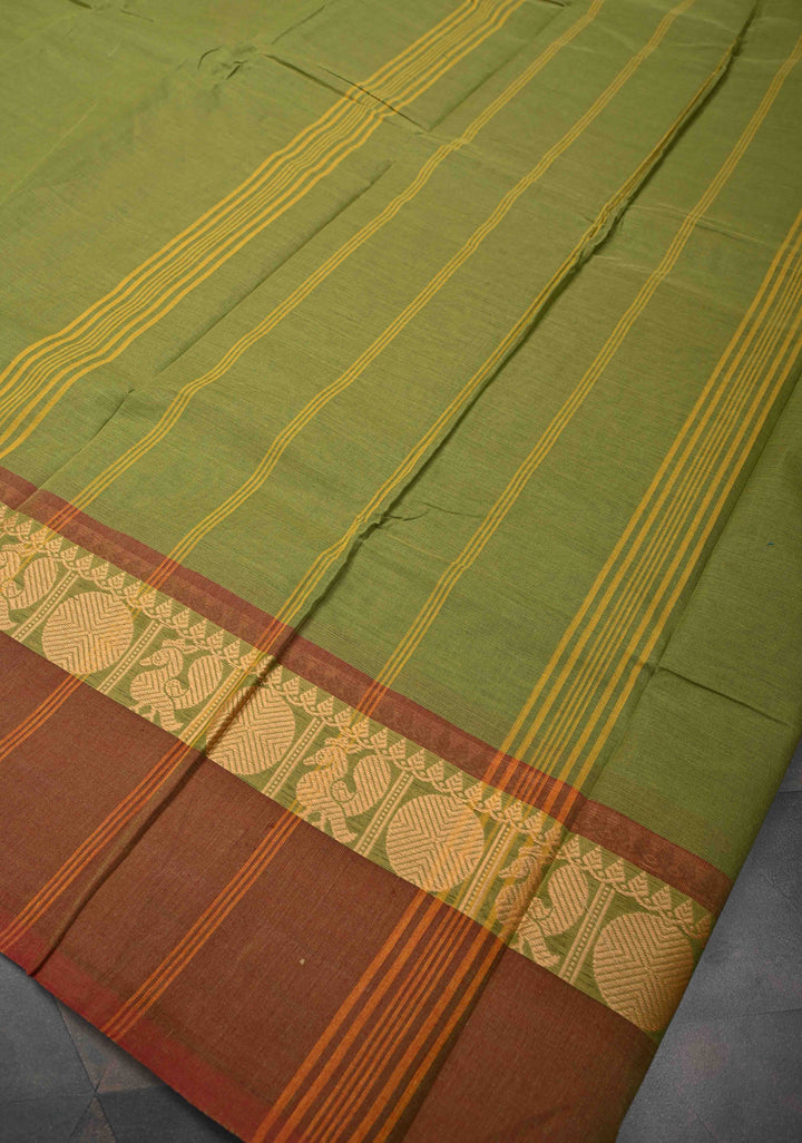 Olive Green Kanchi Cotton Saree with Contrast Resham Border | No Blouse piece