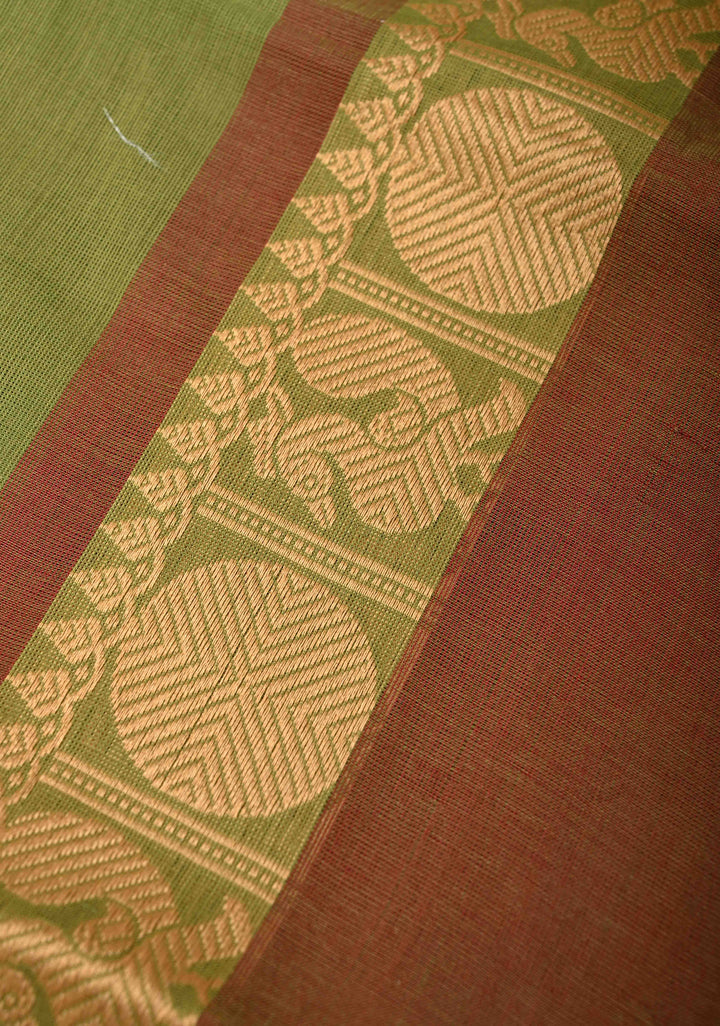 Olive Green Kanchi Cotton Saree with Contrast Resham Border | No Blouse piece
