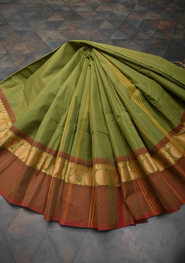 Olive Green Kanchi Cotton Saree with Contrast Resham Border | No Blouse piece