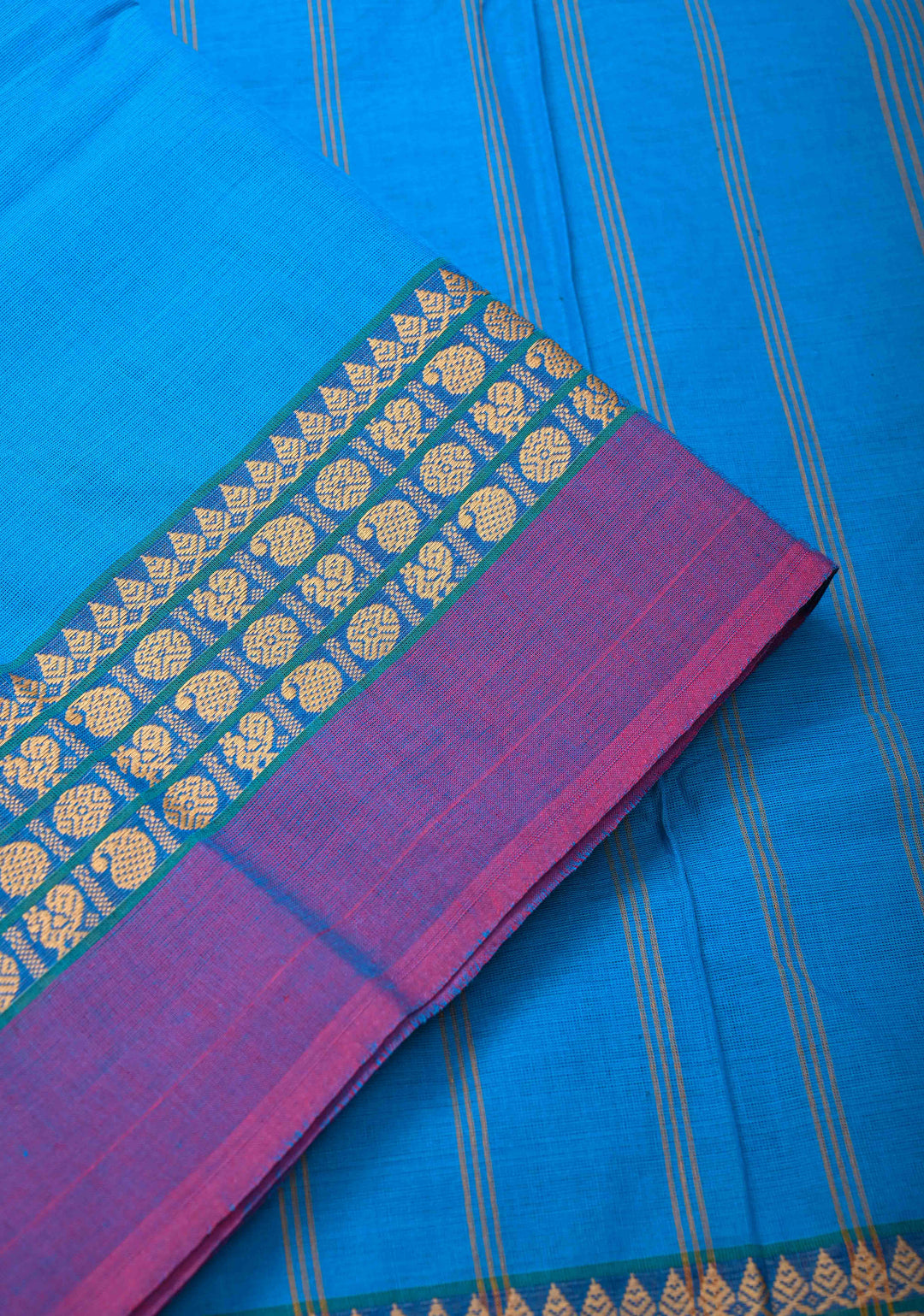 Pacific Blue Kanchi Cotton Saree with Contrast Border | No Blouse piece