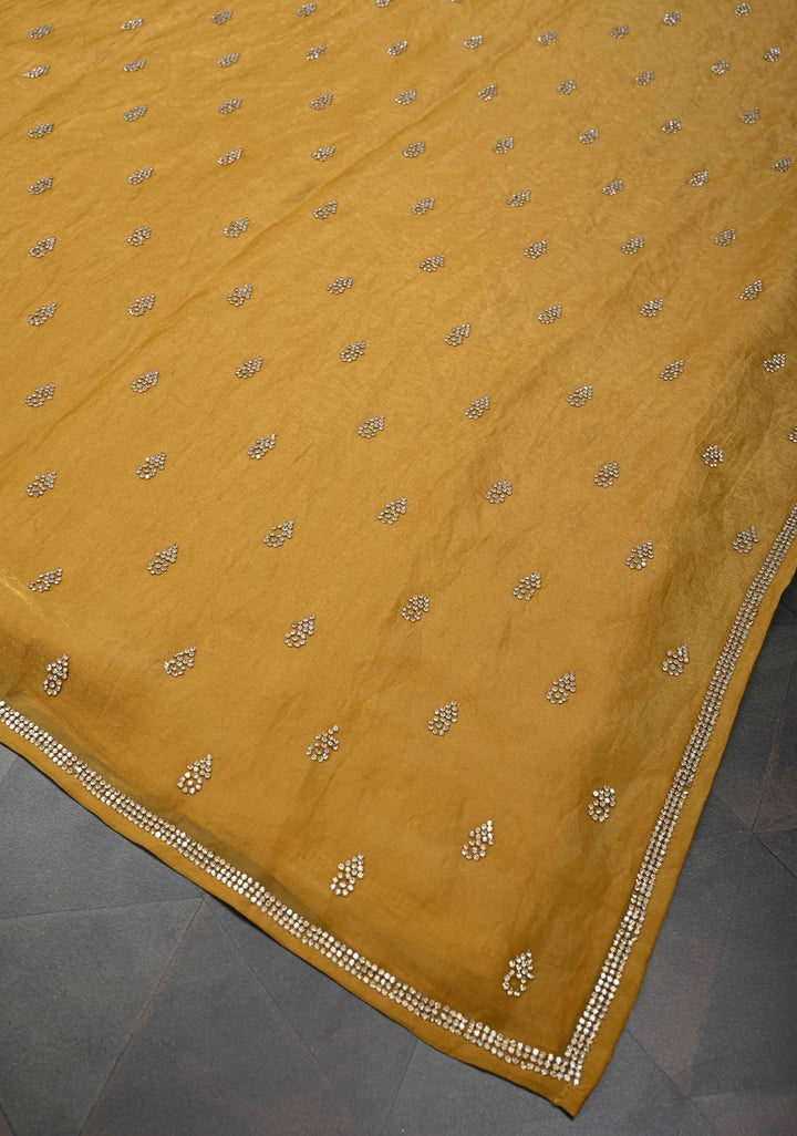 Ochre shimmer Georgette saree with stone buttas and minimal borders