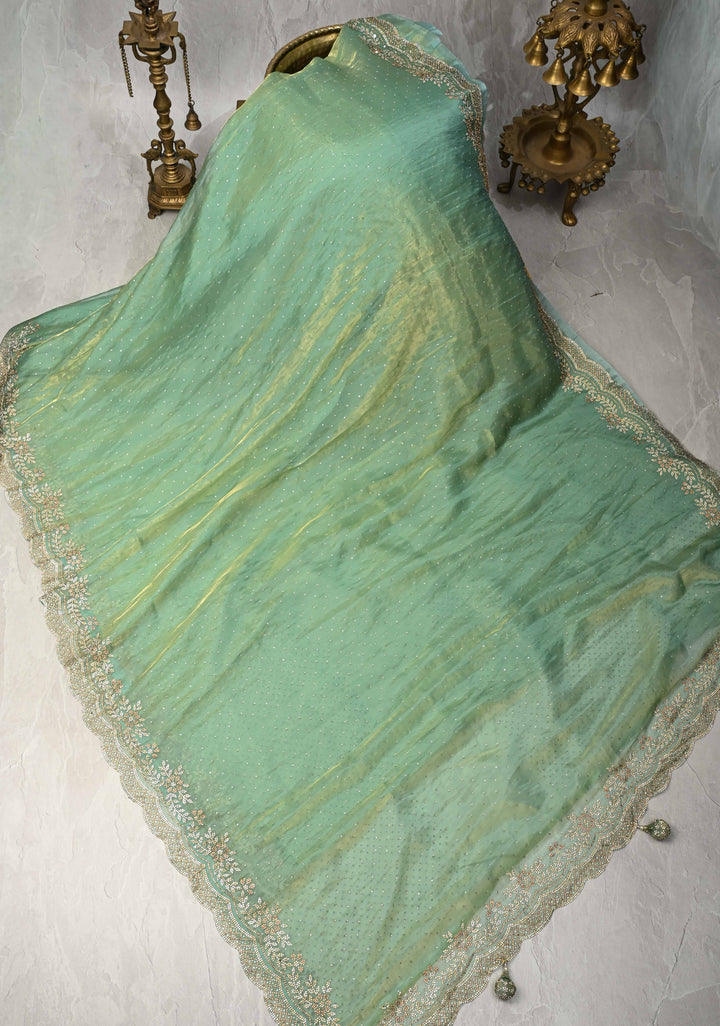 Sage Green Shimmer organza Saree with Powder Two tone  Stone work and Scallop Border