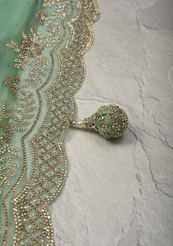 Sage Green Shimmer organza Saree with Powder Two tone  Stone work and Scallop Border