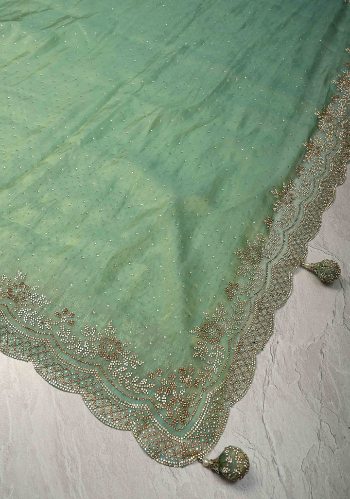 Sage Green Shimmer organza Saree with Powder Two tone  Stone work and Scallop Border