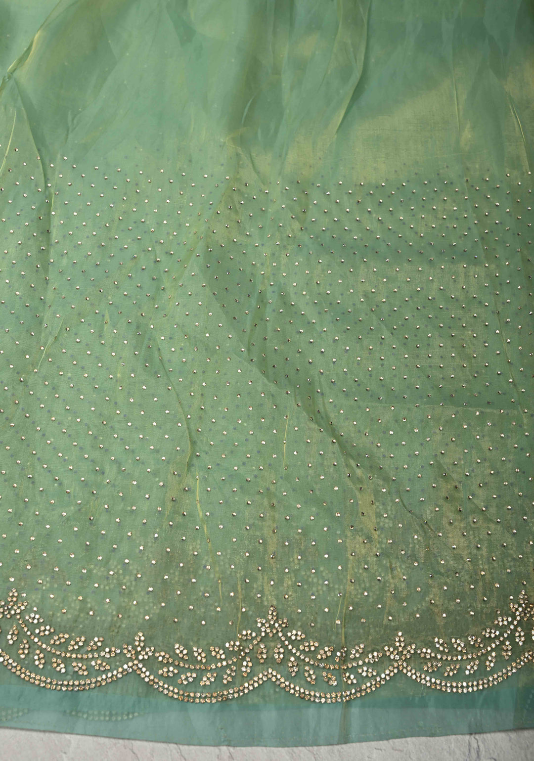 Sage Green Shimmer organza Saree with Powder Two tone  Stone work and Scallop Border