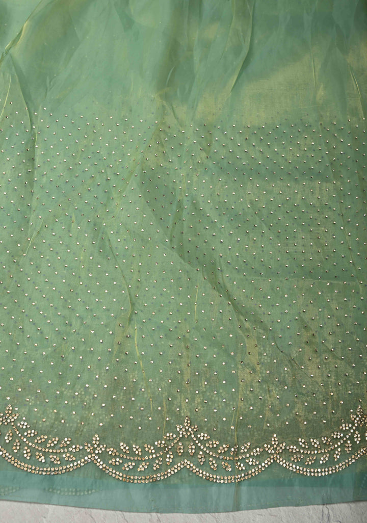 Sage Green Shimmer organza Saree with Powder Two tone  Stone work and Scallop Border