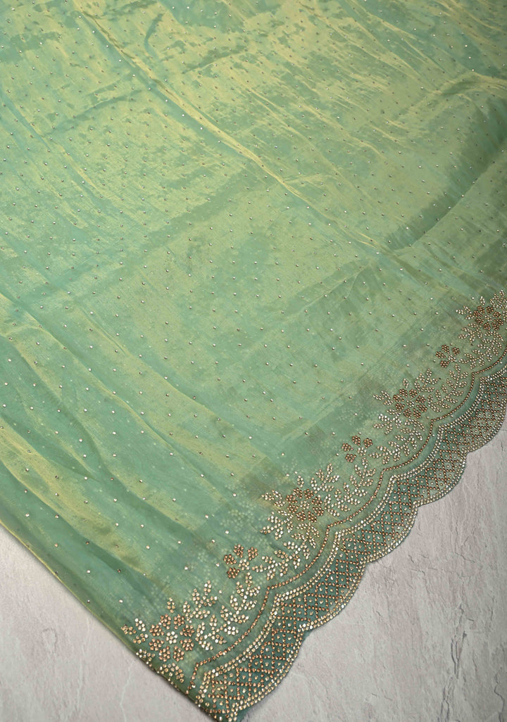 Sage Green Shimmer organza Saree with Powder Two tone  Stone work and Scallop Border