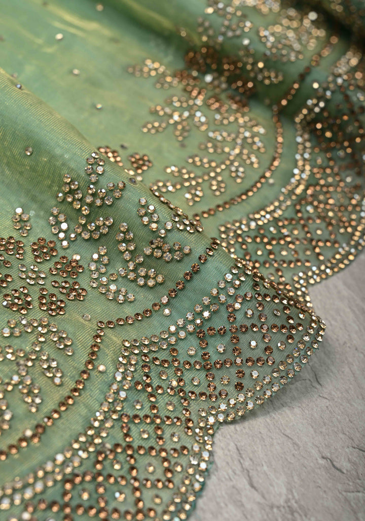 Sage Green Shimmer organza Saree with Powder Two tone  Stone work and Scallop Border