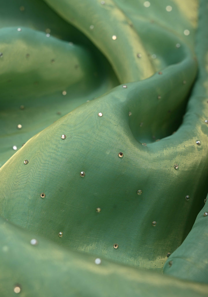 Sage Green Shimmer organza Saree with Powder Two tone  Stone work and Scallop Border