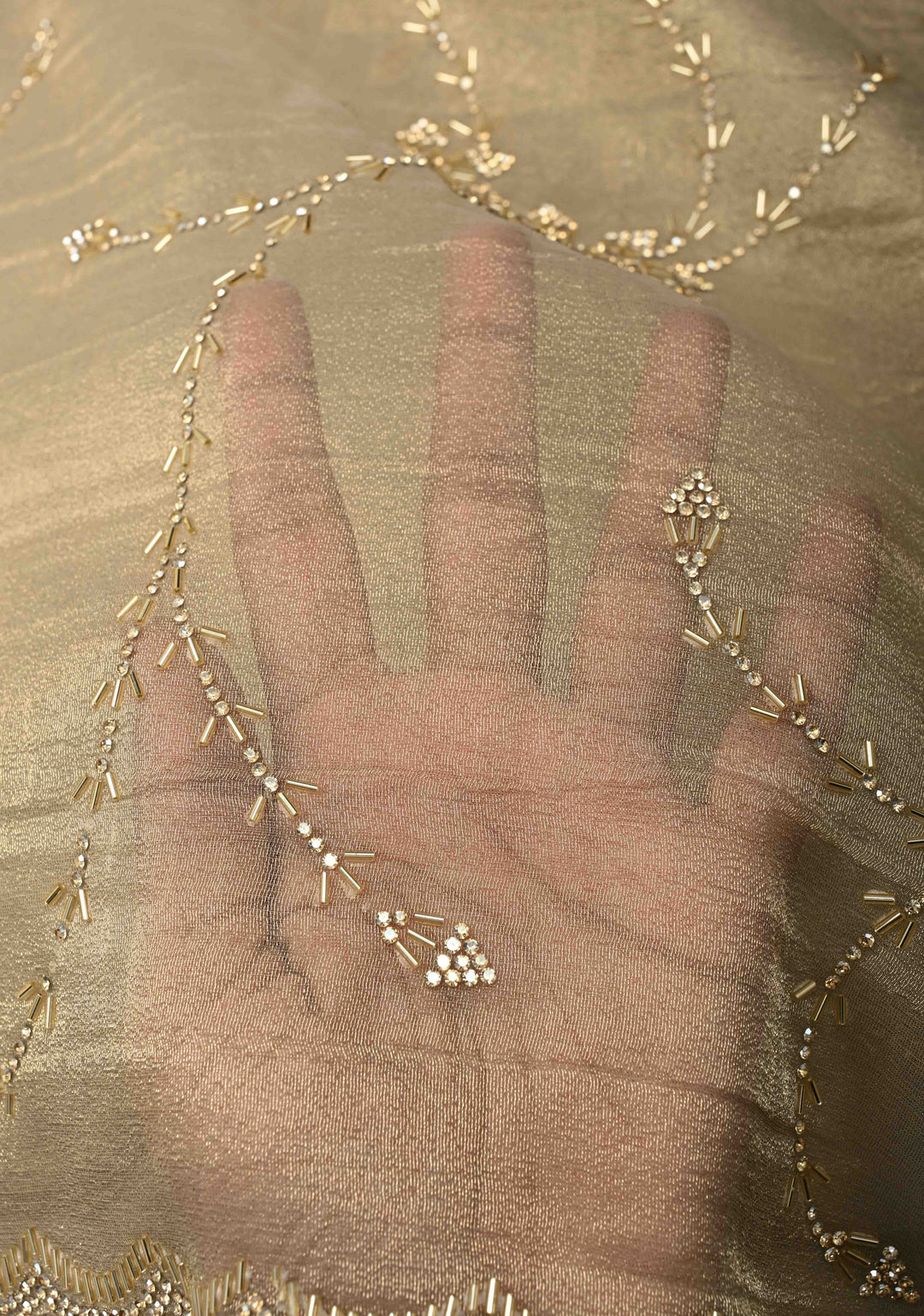Light Champagne Tissue Organza Saree with Stone, Cutdana work Jaal and Scallop Border