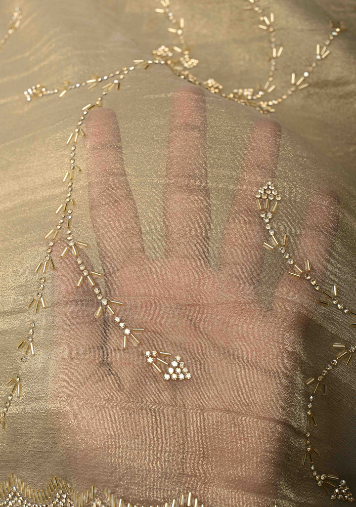 Light Champagne Tissue Organza Saree with Stone, Cutdana work Jaal and Scallop Border