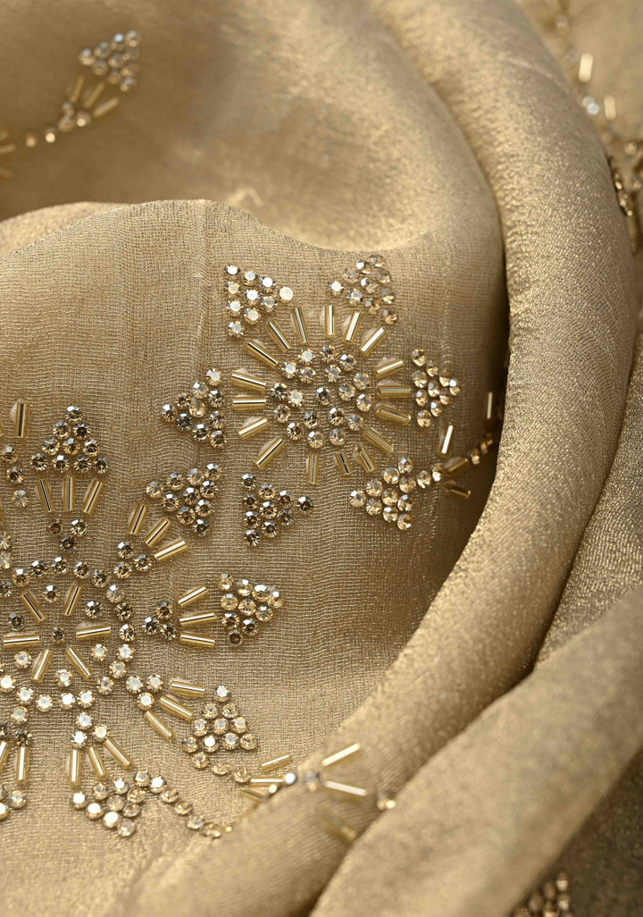 Light Champagne Tissue Organza Saree with Stone, Cutdana work Jaal and Scallop Border