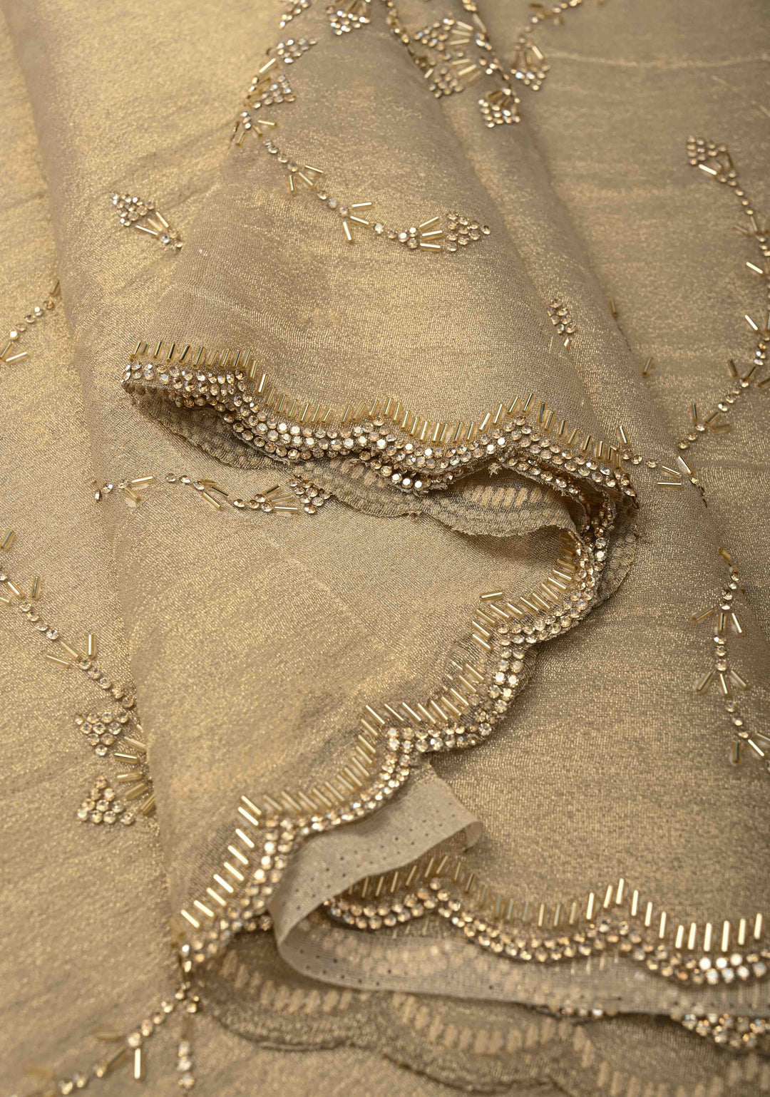 Light Champagne Tissue Organza Saree with Stone, Cutdana work Jaal and Scallop Border