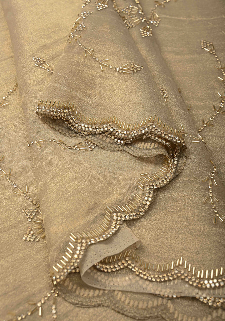 Light Champagne Tissue Organza Saree with Stone, Cutdana work Jaal and Scallop Border
