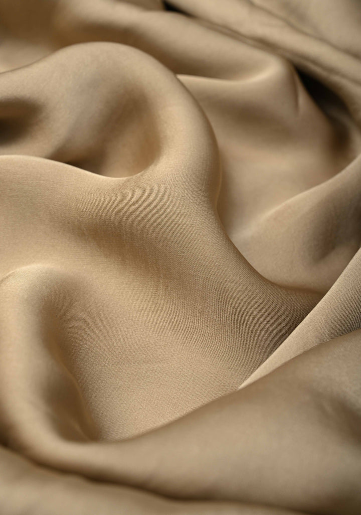 Stunning Taupe Satin Georgette Saree with tone on tone Stones, Cutdana work and Scallop Border