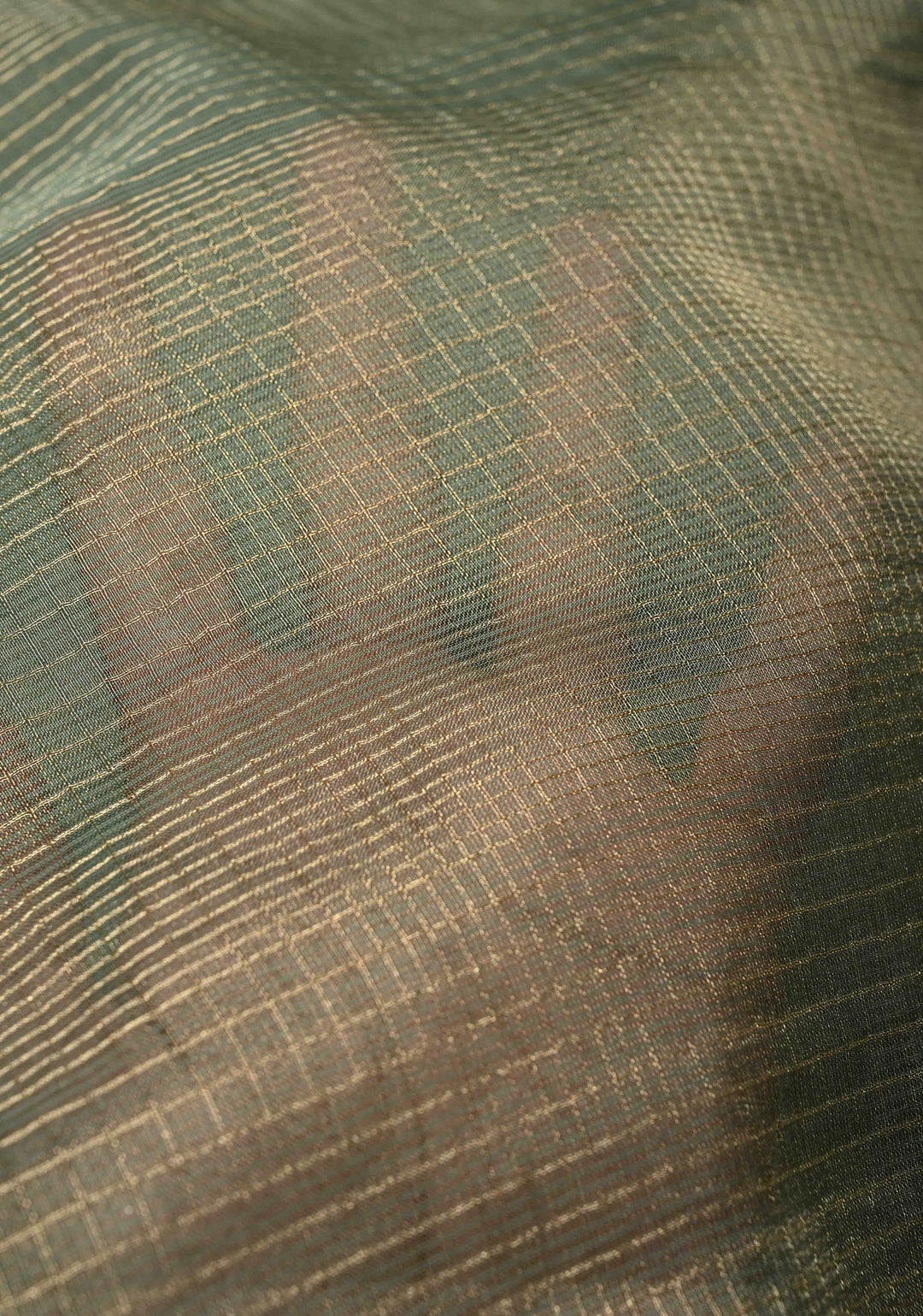 Sage Green Checks on Vegan Organza Tissue Saree with Zari Border and Hand Embroidery on Pallu