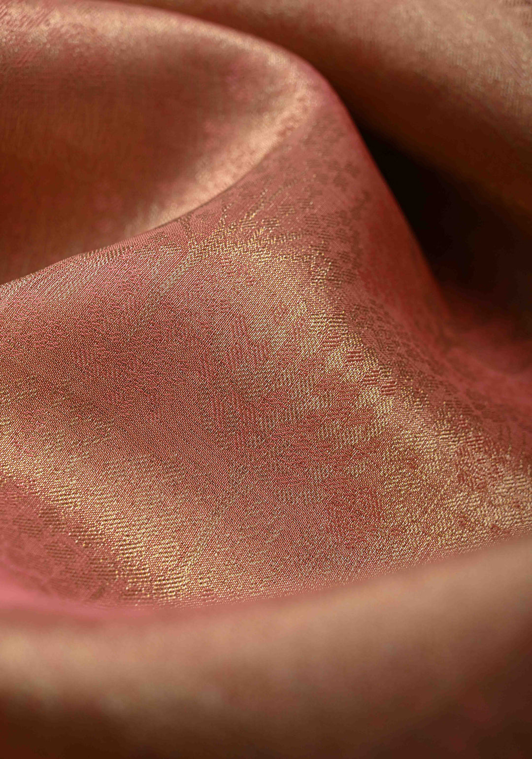 Sandstone Vegan Organza Tissue Saree with Zari Border