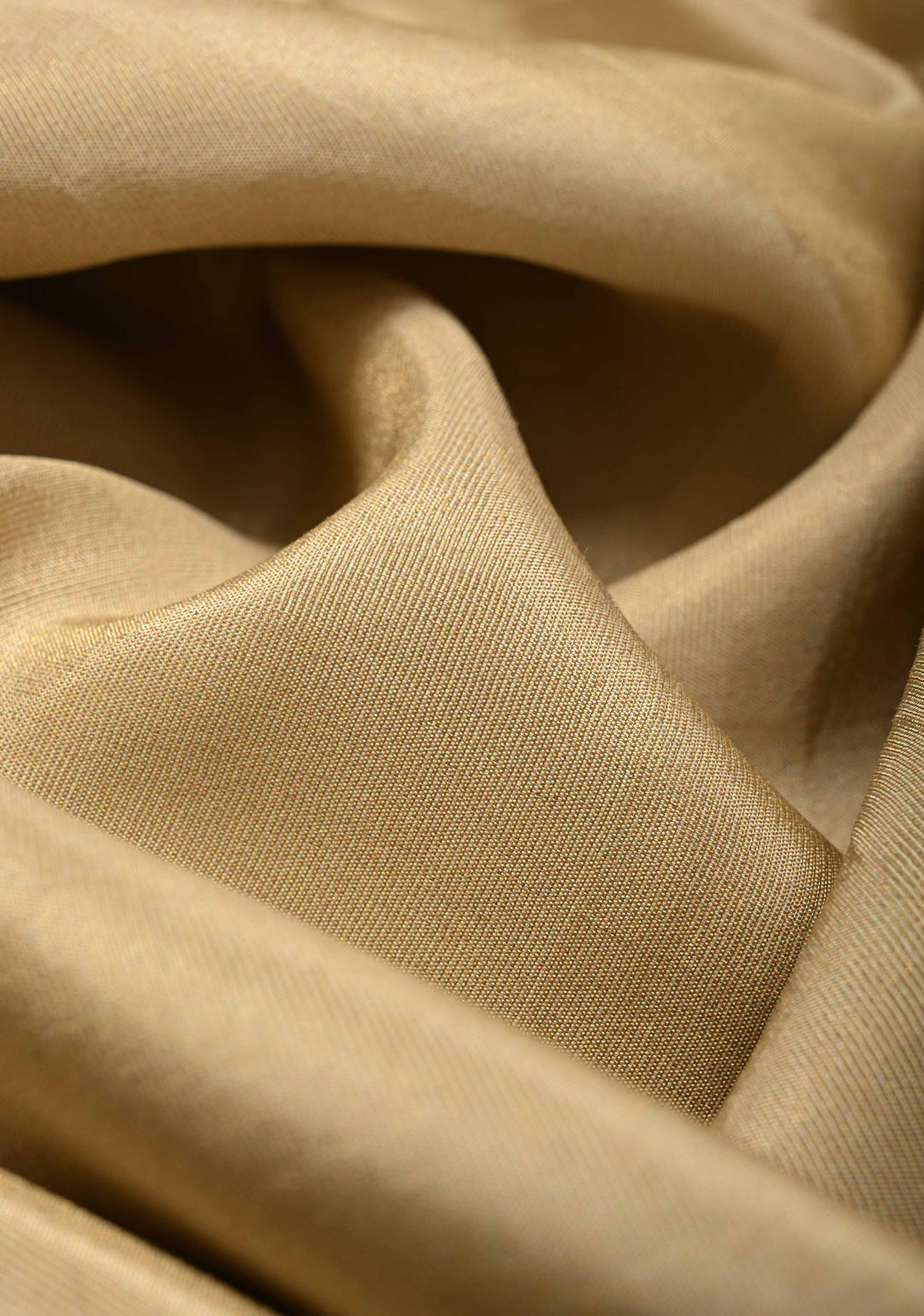 Beige Vegan  Viscose Shimmer Tissue Saree with Intricately Embroidery Border