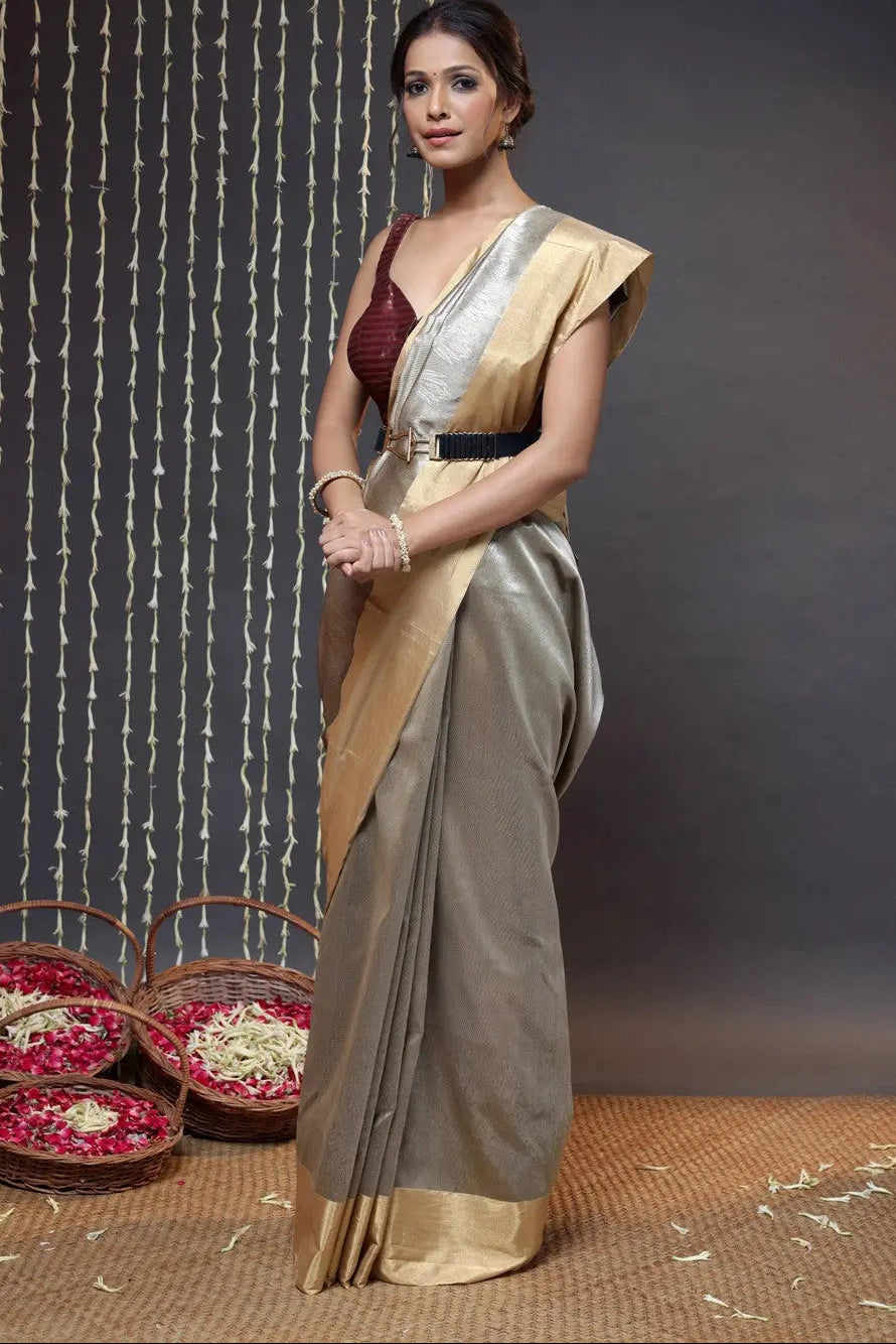 Brown Handloom Chanderi Pure Silk Saree With Gold Border | SHOBITAM