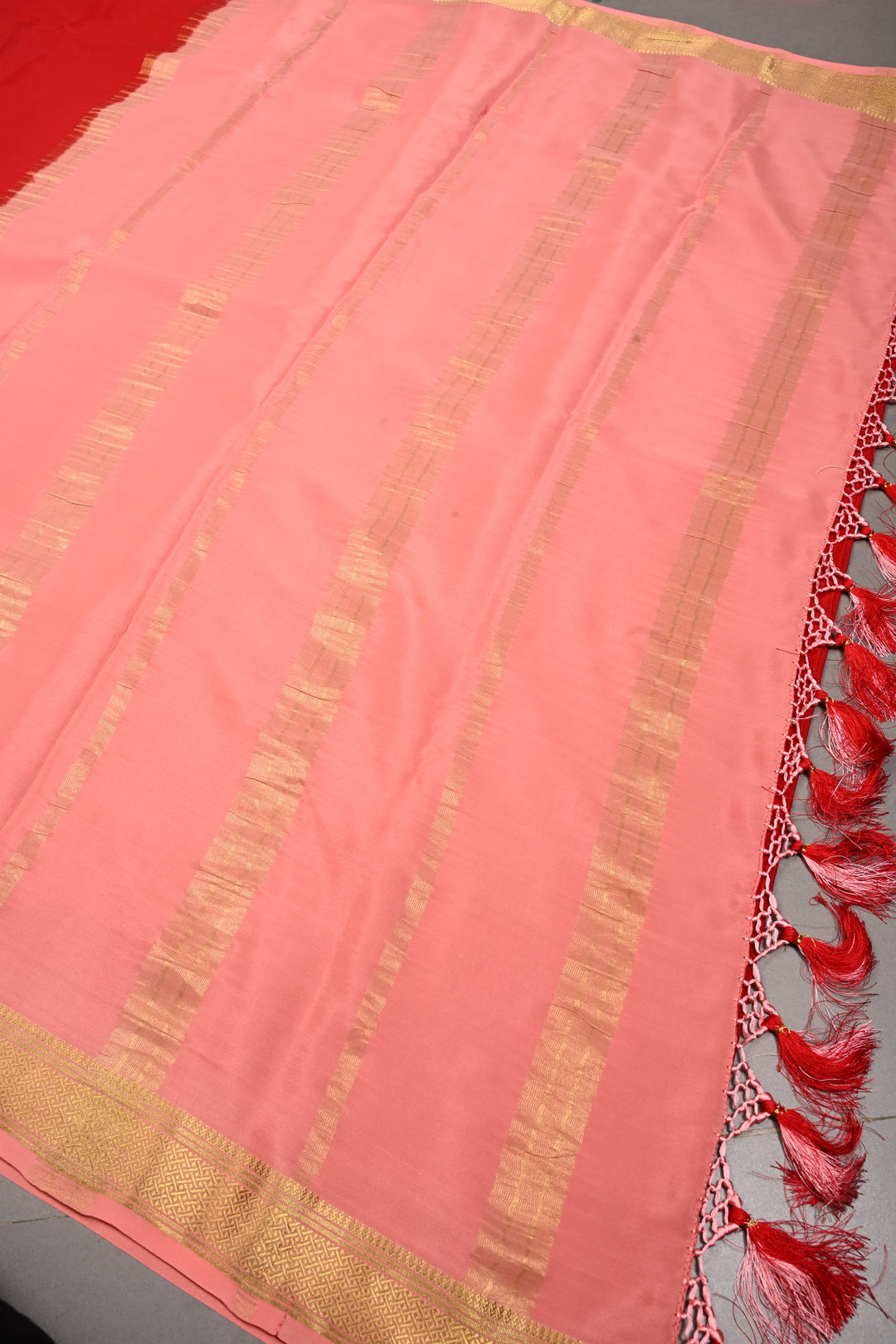 Blood Red Mysore Silk Saree with Contrast Zari Border  | SILK MARK CERTIFIED | SHOBITAM