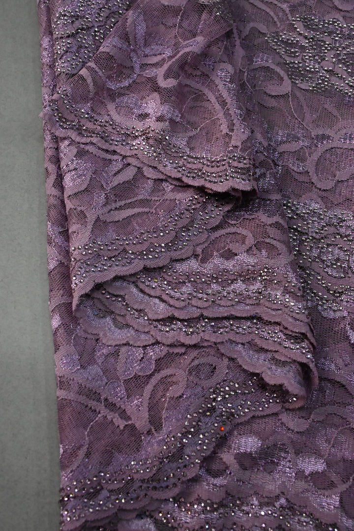 Amethyst Net Chenille Lace Saree with Tone on Tone Powder Stones Work and Scallop Border | SHOBITAM