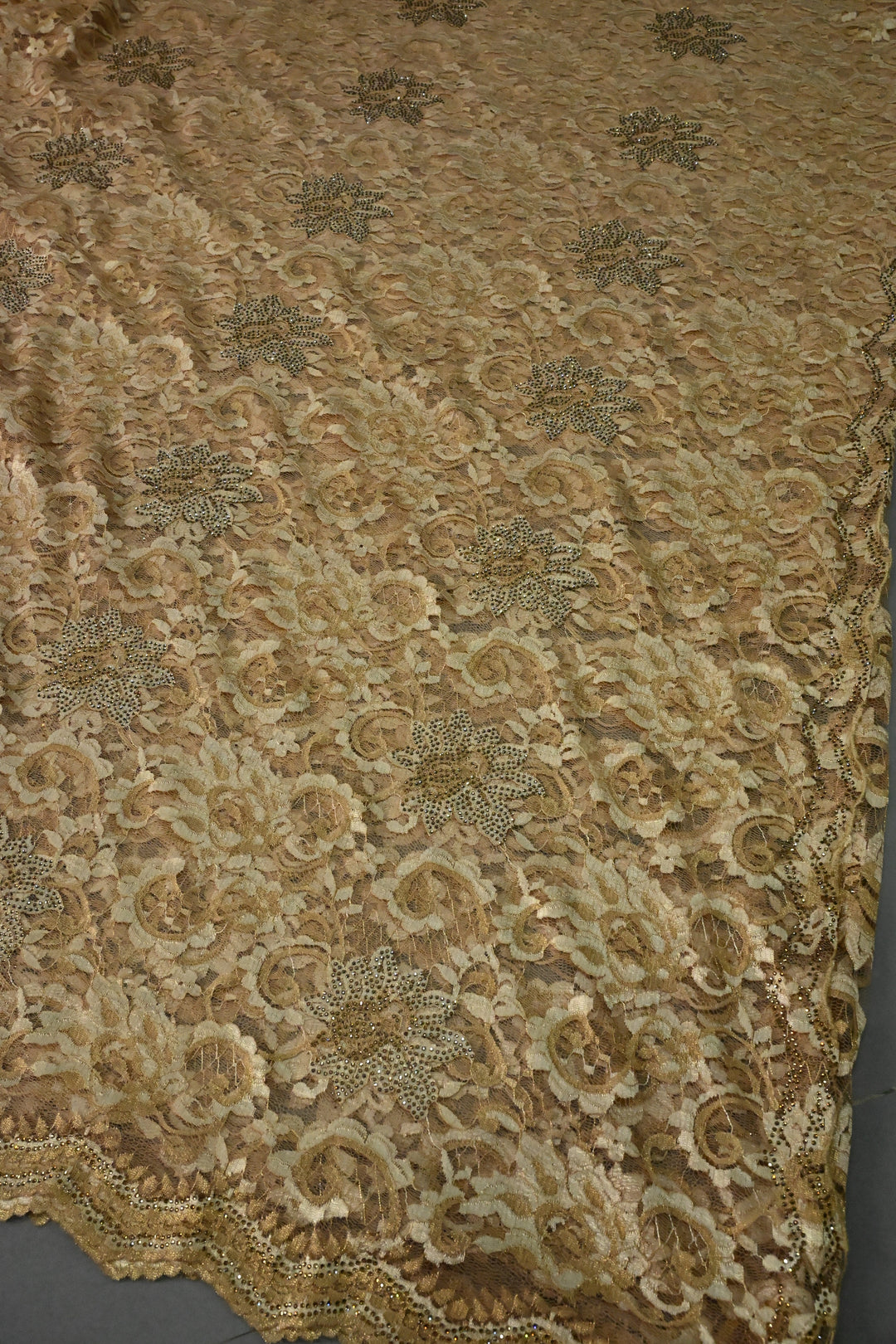 Sand Brown Net Chenille Lace Saree with Tone on Tone Powder Stones Work and Scallop Border | SHOBITAM