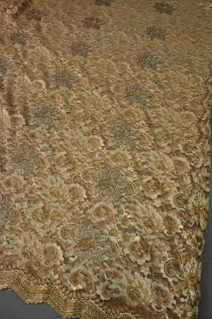Sand Brown Net Chenille Lace Saree with Tone on Tone Powder Stones Work and Scallop Border | SHOBITAM