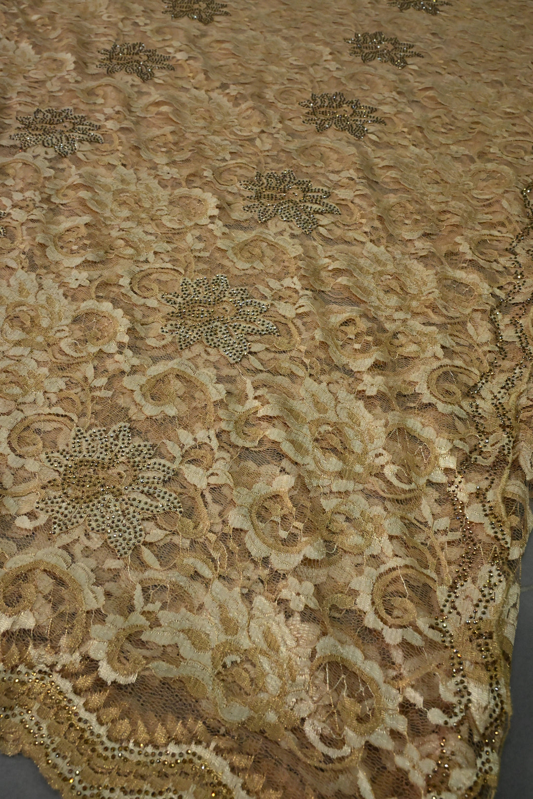 Sand Brown Net Chenille Lace Saree with Tone on Tone Powder Stones Work and Scallop Border | SHOBITAM