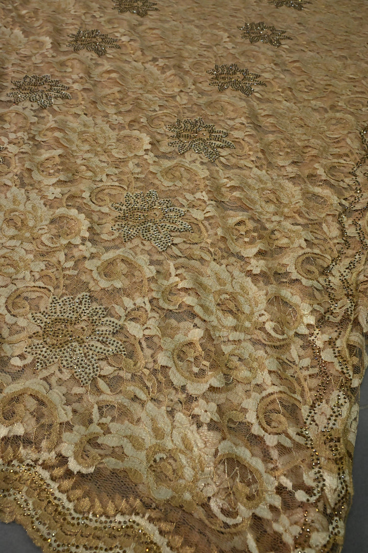 Sand Brown Net Chenille Lace Saree with Tone on Tone Powder Stones Work and Scallop Border | SHOBITAM