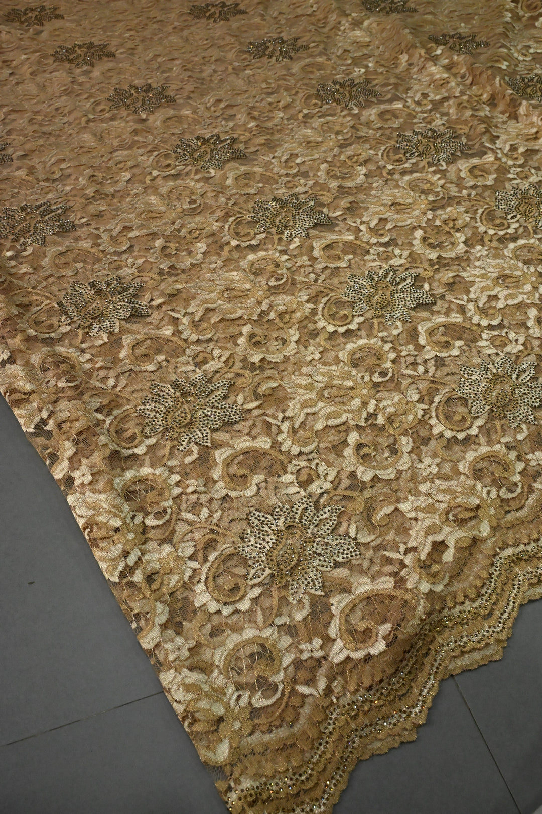 Sand Brown Net Chenille Lace Saree with Tone on Tone Powder Stones Work and Scallop Border | SHOBITAM