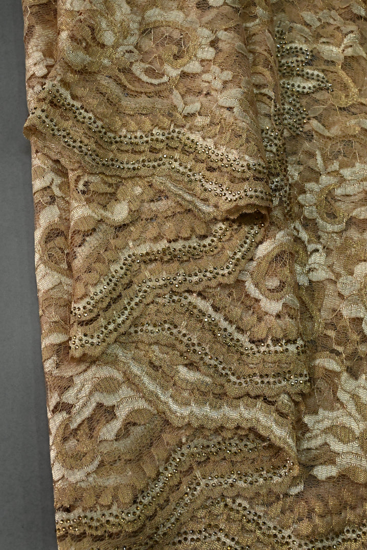 Sand Brown Net Chenille Lace Saree with Tone on Tone Powder Stones Work and Scallop Border | SHOBITAM
