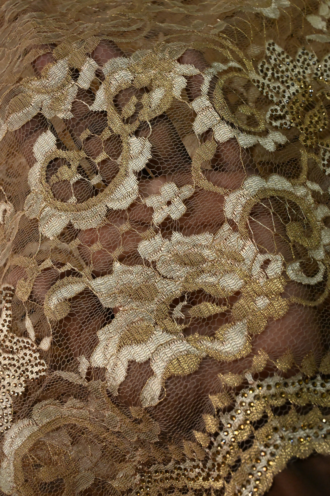 Sand Brown Net Chenille Lace Saree with Tone on Tone Powder Stones Work and Scallop Border | SHOBITAM