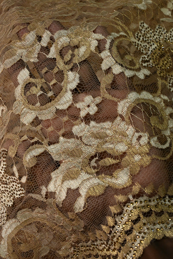 Sand Brown Net Chenille Lace Saree with Tone on Tone Powder Stones Work and Scallop Border | SHOBITAM