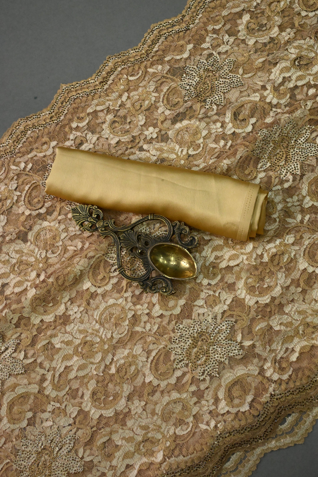 Sand Brown Net Chenille Lace Saree with Tone on Tone Powder Stones Work and Scallop Border | SHOBITAM