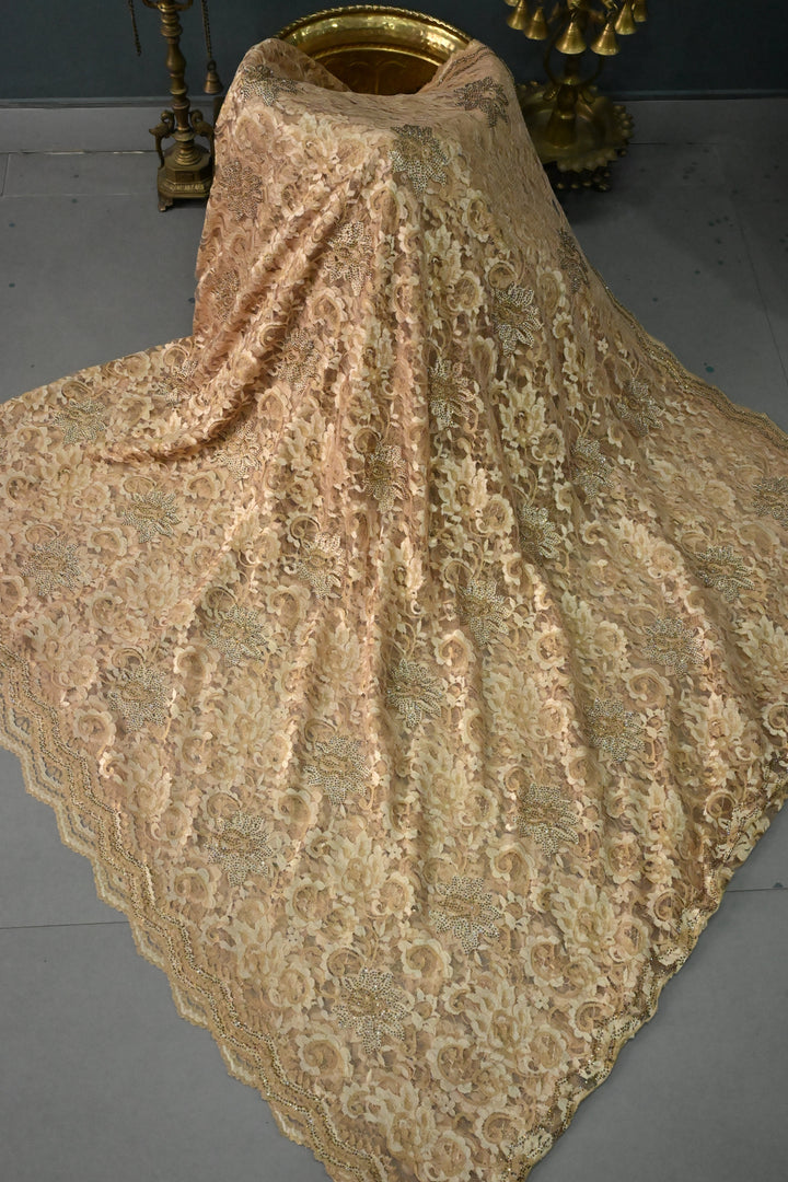 Sand Brown Net Chenille Lace Saree with Tone on Tone Powder Stones Work and Scallop Border | SHOBITAM