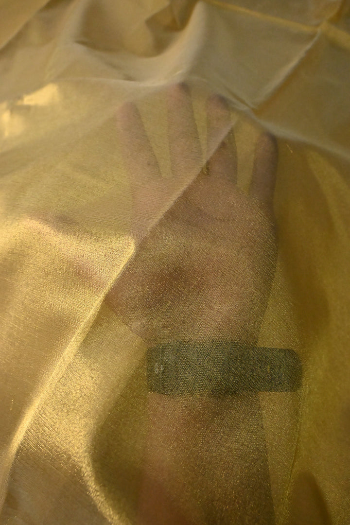 Tan Gold Tissue Art Silk Saree with Contrast Thread Border | SHOBITAM