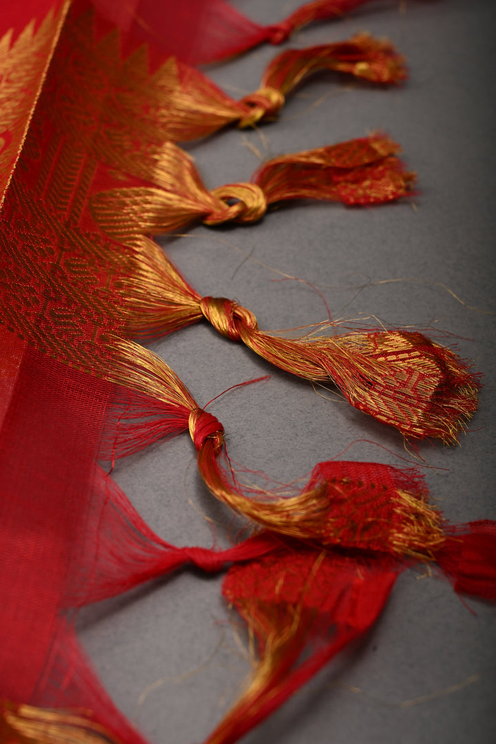 Off White Kanchi Silk Cotton 100% Handloom Saree with Birds Zari Buttas and Wide Zari Border | SHOBITAM
