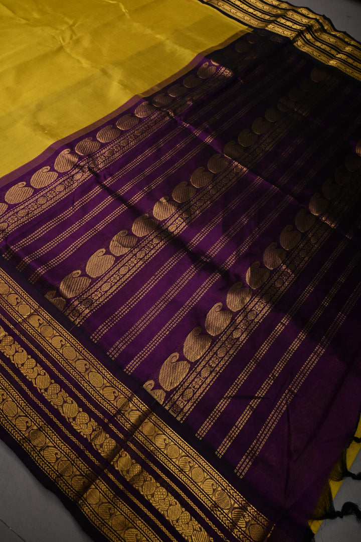 Moss Green Kanchi Silk Cotton 100% Handloom Saree with Contrast Zari Border | SHOBITAM