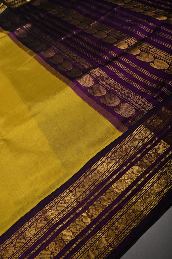 Moss Green Kanchi Silk Cotton 100% Handloom Saree with Contrast Zari Border | SHOBITAM