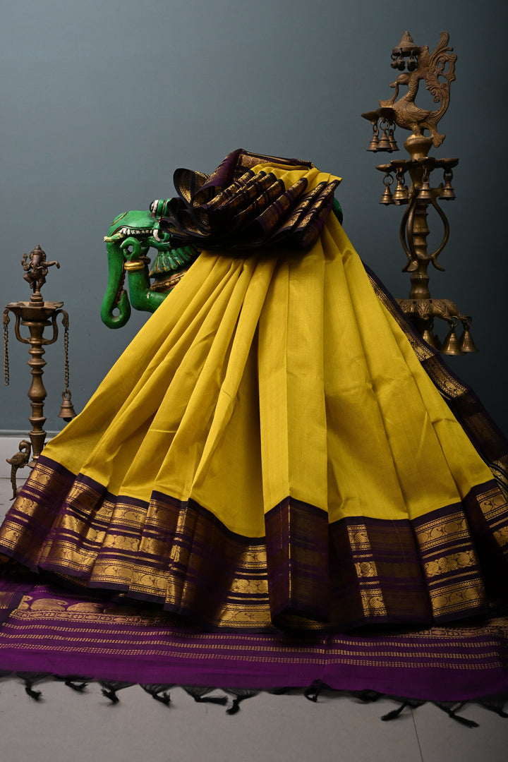 Moss Green Kanchi Silk Cotton 100% Handloom Saree with Contrast Zari Border | SHOBITAM