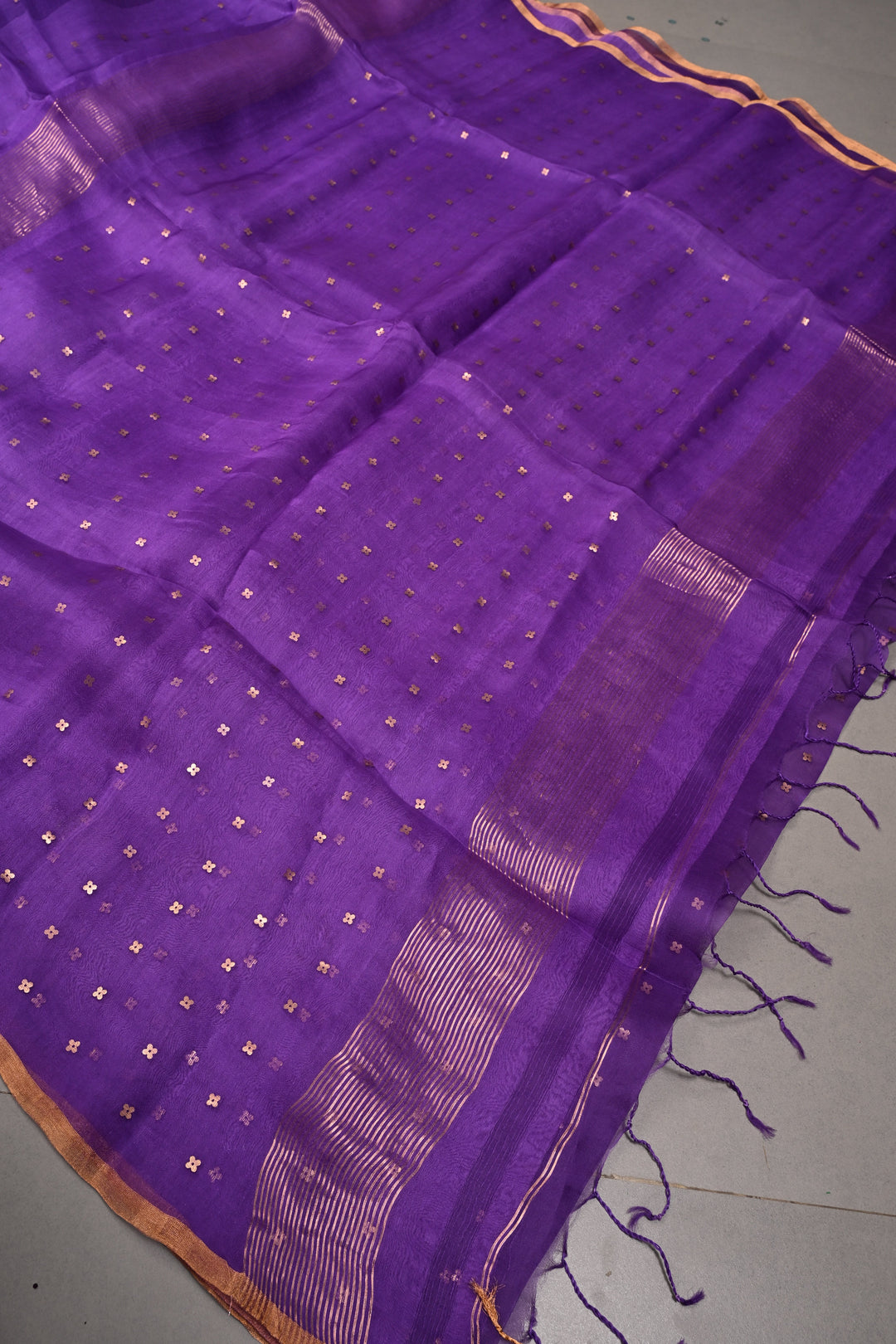 Royal Purple Matka Muslin Silk Saree with Pocket Sequins and Minimal Zari Border | SILK MARK CERTIFIED | SHOBITAM