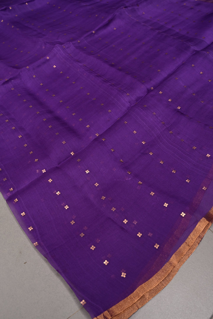 Royal Purple Matka Muslin Silk Saree with Pocket Sequins and Minimal Zari Border | SILK MARK CERTIFIED | SHOBITAM