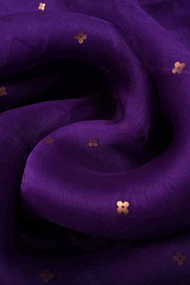 Royal Purple Matka Muslin Silk Saree with Pocket Sequins and Minimal Zari Border | SILK MARK CERTIFIED | SHOBITAM