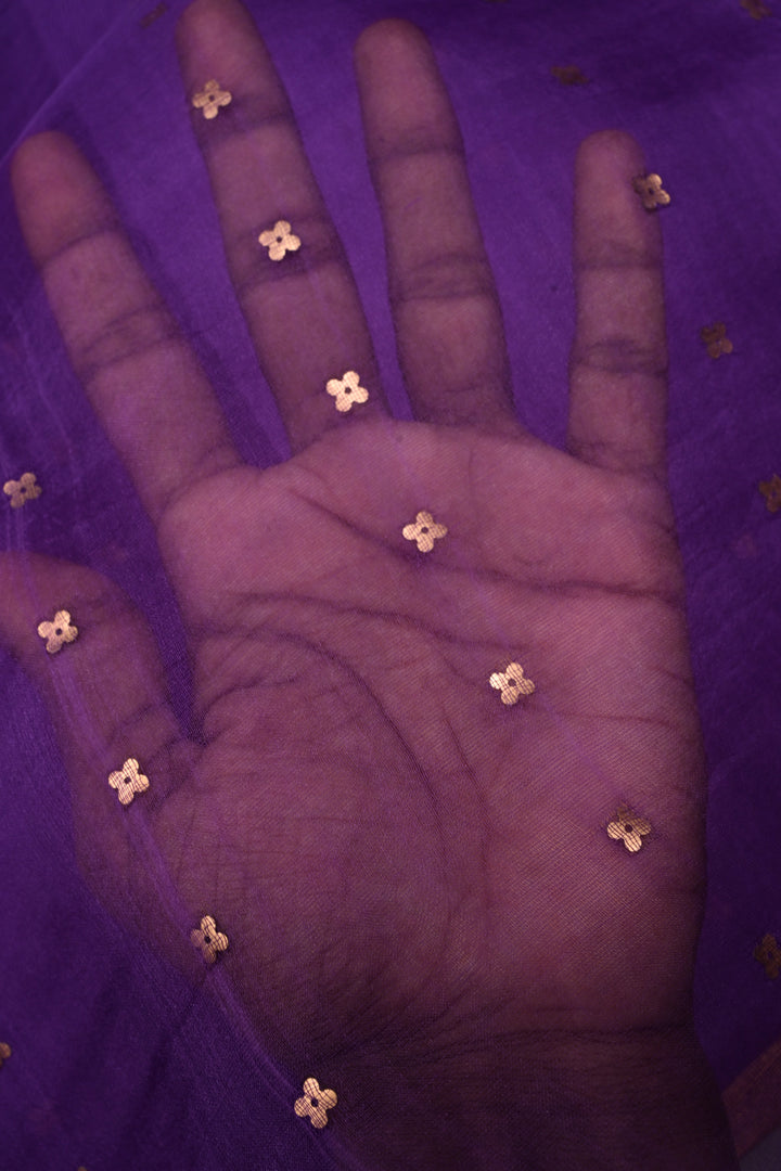 Royal Purple Matka Muslin Silk Saree with Pocket Sequins and Minimal Zari Border | SILK MARK CERTIFIED | SHOBITAM