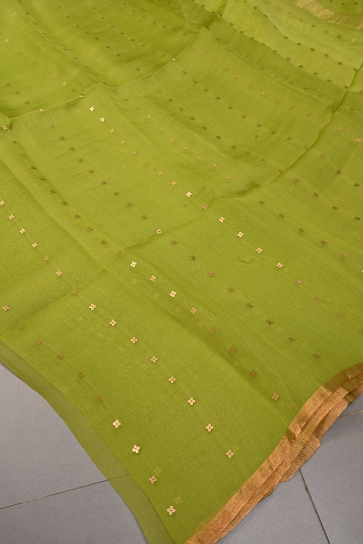 Parrot Green  Matka Muslin Silk Saree with Pocket Sequins and Minimal Zari Border | SILK MARK CERTIFIED | SHOBITAM