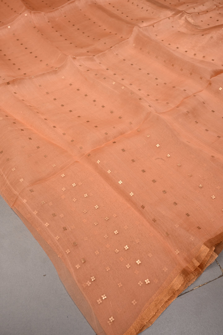 Salmon Peach Matka Muslin Silk Saree with Pocket Sequins and Minimal Zari Border | SILK MARK CERTIFIED | SHOBITAM