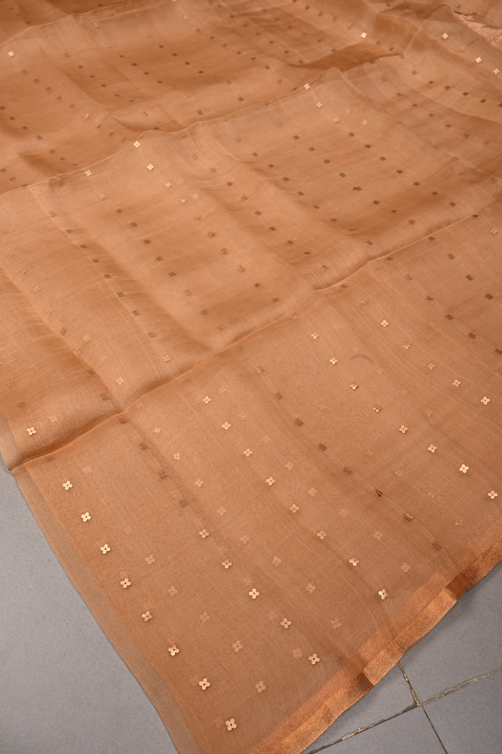 Sandstone Matka Muslin Silk Saree with Pocket Sequins and Minimal Zari Border | SILK MARK CERTIFIED | SHOBITAM